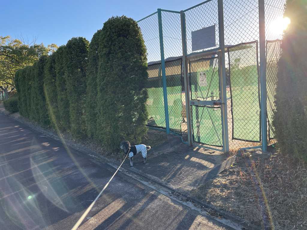 富浜緑地のテニスコート