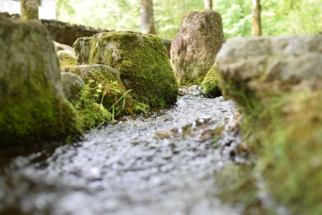 丹波少年自然の家の風景2