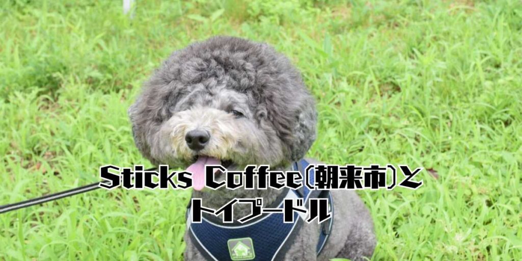 SticksCoffeeのサムネ